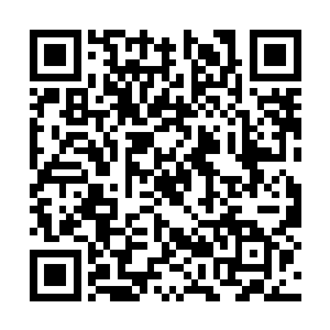 她又怕眼前这个瓜皮头会真的开枪将弟弟一枪爆头二维码生成
