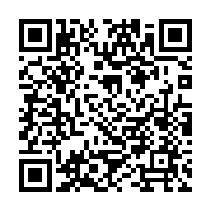 她发现无心从地上捡起了一根比手腕略细些的桦树枝二维码生成