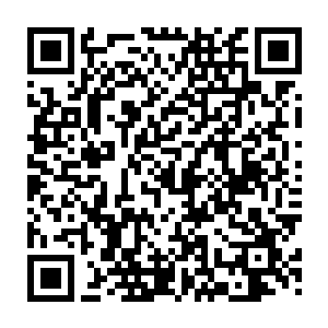 她只想见识一下不同的世界・却没想到外面的世界跟她想象的完全不一样二维码生成