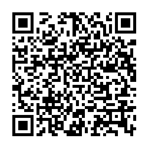 她可不会认为那老狐狸会那么轻易的放弃她这枚可以随时影响整盘棋走势的棋子二维码生成