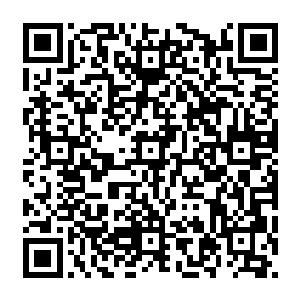 她在知道这三只珍稀妖兽的时候第一时间的想法就是那个卖主不会是觉得俩欲魔不够看二维码生成
