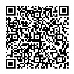 她在雷家各种被虐待的遭遇便被那些有意讨好夏华金氏的人添油加醋地传到卫氏耳朵里二维码生成