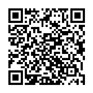 她实在想不出张小凡从哪里突然就变出了慢慢一桌子的钱二维码生成