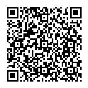 她对张铭全为什么要杀死刘士伟的原因的好奇已经是超过了朋友出卖同学死亡的悲伤情绪了二维码生成