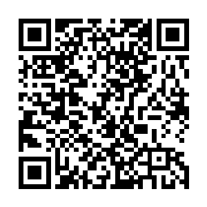 她就会在枢密院会议上提出将北部苏雷诺的领地交托给自己二维码生成