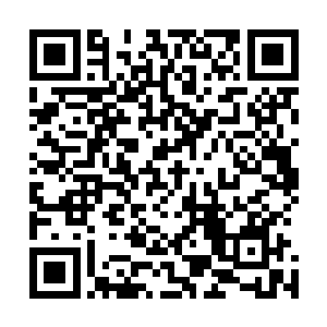 她就必须要收下来……阮文忠在阮家的权威可是至高无上的二维码生成