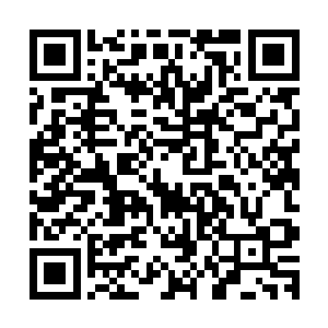 她差一点就要扑上前去抓住对方――如果小猫真没有父母的话二维码生成