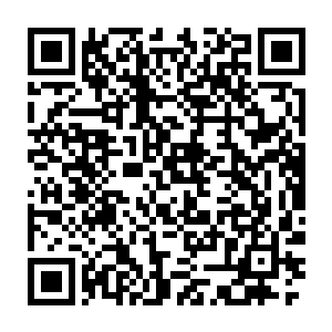 她很想问问许紫烟刚开始给自己服食治疗经脉损伤的那个丹药是什么二维码生成