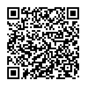 她很难想象这样的云澜哥哥会被那毒恶之气折磨得无数次不成人形二维码生成