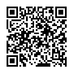 她怎么可能看着那从小最疼她的爷爷丢了脸而无动于衷二维码生成