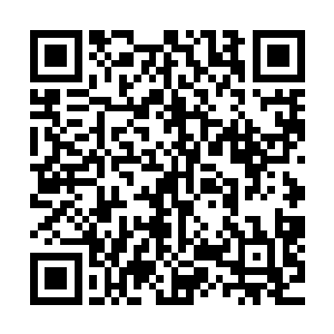 她想的是昨天晚上在姐姐林暮雪门口偷听到的那些娇喘和对话二维码生成