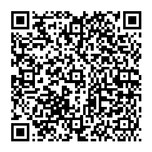 她感觉自己的精神世界都要因为这段时间的放松而膨胀出几倍的大小了――白天的拍摄越来越得心应手二维码生成