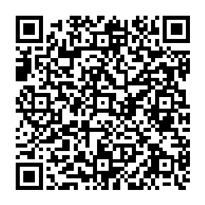 她无话可说 可脸上的苍白却在清晰的反映着她的内心 此时是有多么的伤心与难过二维码生成