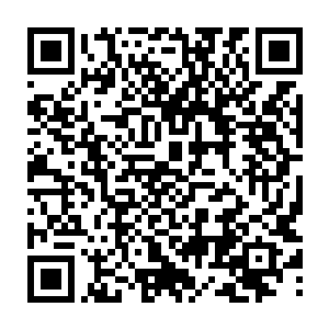 她曾经和卡卡讨论过有关荣为什么受了重伤之后还能够迅速恢复如初这个问题二维码生成