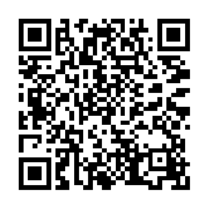 她最后的记忆还停留在他们的汽车上了卡车车厢二维码生成