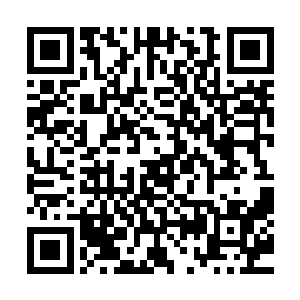 她有点明白为什么照片中的喵星人总是一副生无可恋的样子了二维码生成