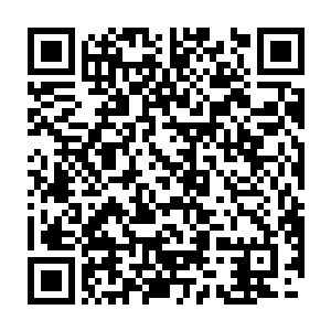 她此时恨不得冲出去再和那只圣级大圆满后期巅峰混沌兽战上一场二维码生成