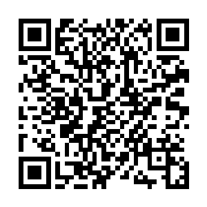 她甚至没有办法去分辨雨果投射过来的目光到底意味着什么二维码生成