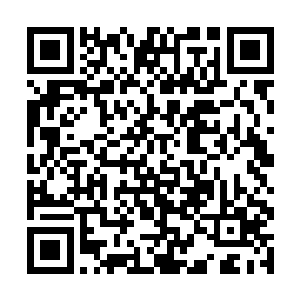 她用眼角的余光扫了一眼身旁再次失去记忆的白振东二维码生成