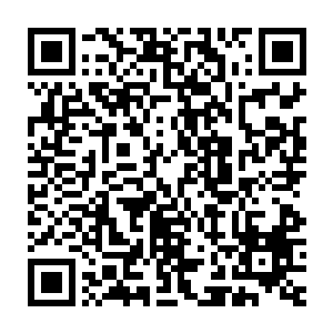 她的父母就这么被人给害了在她和自己的父母认识到互相的错误的时候二维码生成