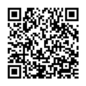 她的速度……竟然丝毫不比自己没使出残影拳头时候的的身法慢二维码生成