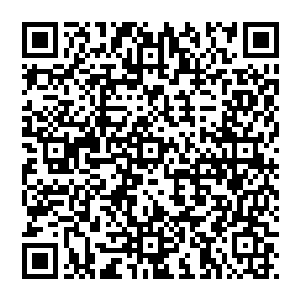 她真的不知道自己还有没有勇气活下去……这是一个受到了十几年大家闺秀的那种特殊教育的结果二维码生成