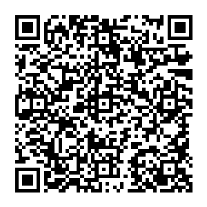 她知道那些吸血鬼已经被刚才的鲜血味道将他们的食欲完全激发出来了……这里大多是普通学生二维码生成