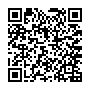 她穿着一条笔直的九分裤和一件开领很低的卡其布上衣二维码生成