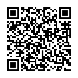 她简直以为电视里灰姑娘变娇公主的桥段就要在她身上发生一样二维码生成