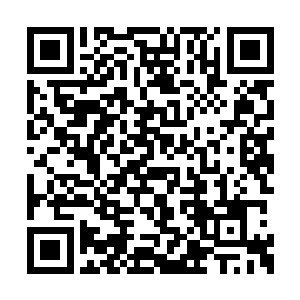 她终于意识到了敌人的诡异之处――敌人是死的二维码生成