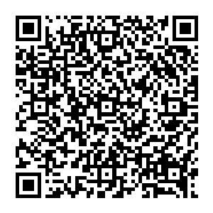 她背着的双肩包游戏背包和藤编手提箱的附属背包直接变化在个人属性面板等几个面板的最后面二维码生成