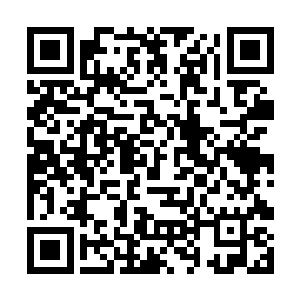 她至今仍是下了床穿了衣服就和苗毅保持距离的态度二维码生成