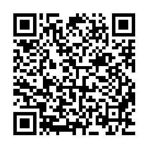 她运转了好几次灵心诀才将心底升腾起来的不甘和愤怒压了下去二维码生成