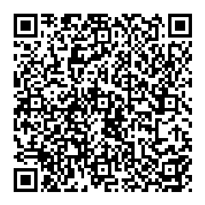 她还是今天晚上见到陆为民时才知道那一晚救了自己和梓宁的那个年轻男子现在已经是足以决定自己和梓宁命运的宣传部长了二维码生成