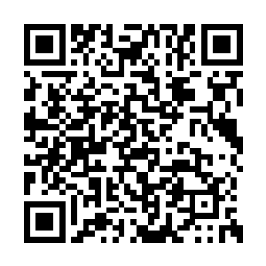 她还真没有勇气直接把车倒出去把人给撞倒在地二维码生成