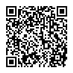 她还记得那位王子和锦鲤族的人听到她那句话之后的嘲讽和不信任之色二维码生成