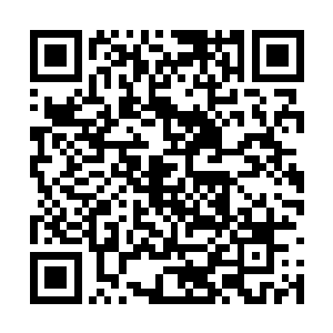 她这几天老是用那种很激动又很压抑的眼神看着他二维码生成