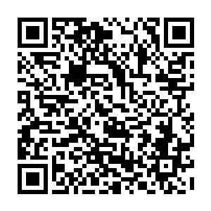 她那位早逝的亲娘很有可能是在病中被刘荷花三番五次的找茬给气得不治身亡的二维码生成