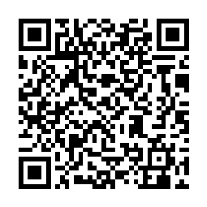 她那可爱的猫耳朵和手上的白色绒毛也再次浮现而出二维码生成