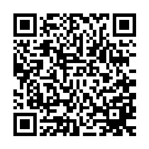 她顶着跟姐姐一模一样的脸穿上婚纱出现在姐夫和小三的婚礼上二维码生成