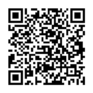 好不容易才在安妮的再三安抚下躺到床上沉沉睡去二维码生成