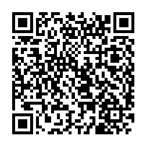好些个人每次都会徒劳的扑过去在门口哀求警察老爷给自己一条活路二维码生成