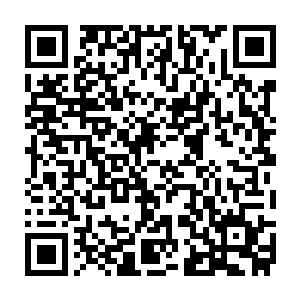 好似这能拉开他们跟那些大世家出身以至于修为高绝的天才们差距似的二维码生成