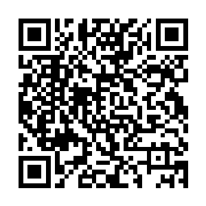 好像一直在研究人体癌症的发病原因和中医治疗方法二维码生成