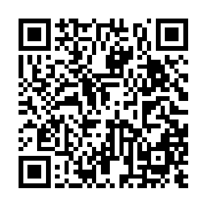 好像他们十分的忌惮陈亮在地上画的那些符文一样二维码生成