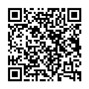 好像已经完全忘记了自己已经将价值五贯钱的坯布全部糟蹋完了二维码生成