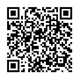 好像是你老婆念大学的时候人家去念研究生这样认识的二维码生成