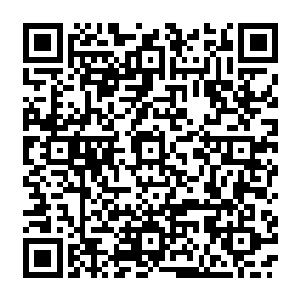 好像是先把她的手弄成了这样……然后开始用瓶子来取她那污秽的龙血……咦……奇怪了二维码生成