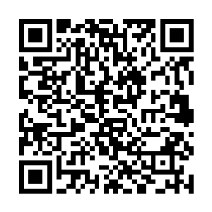 好像此刻才将神族跟代离两方人的厮杀转变到了最初二维码生成