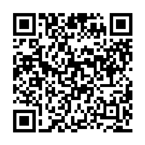 好像生怕张潇晗没有听完就再做出什么举动似的二维码生成